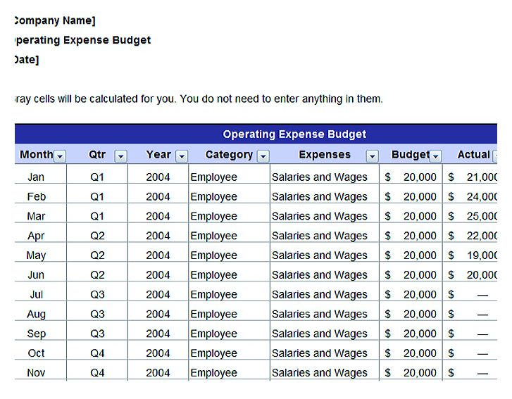 Annual Operating Marketing Budget Plan Template