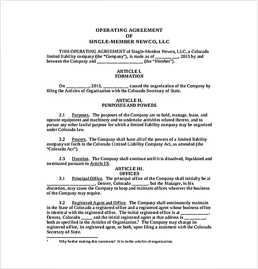 Example Single Member Agreement Template