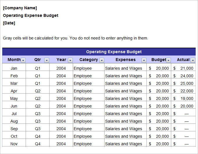Annual Operating Marketing Budget Plan Template