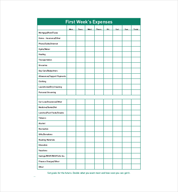 CCDS Monthly Budget Tracker Free Format