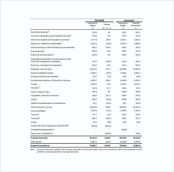 Capital Expenditure Report Template