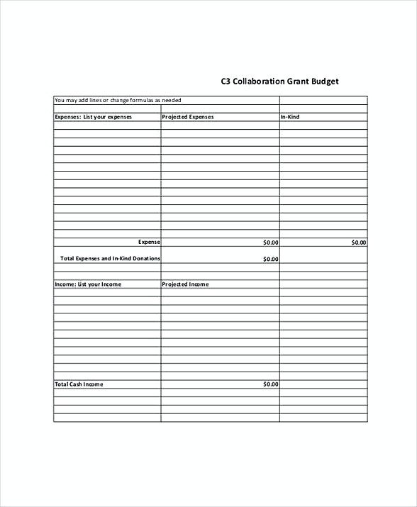 Collaboration Grant Budget Template