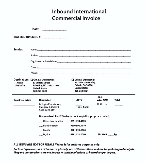 International Commercial Invoice templates PDF