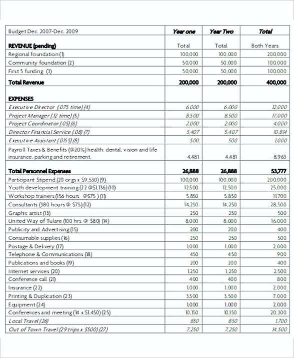 8 Non Profit Budget Template