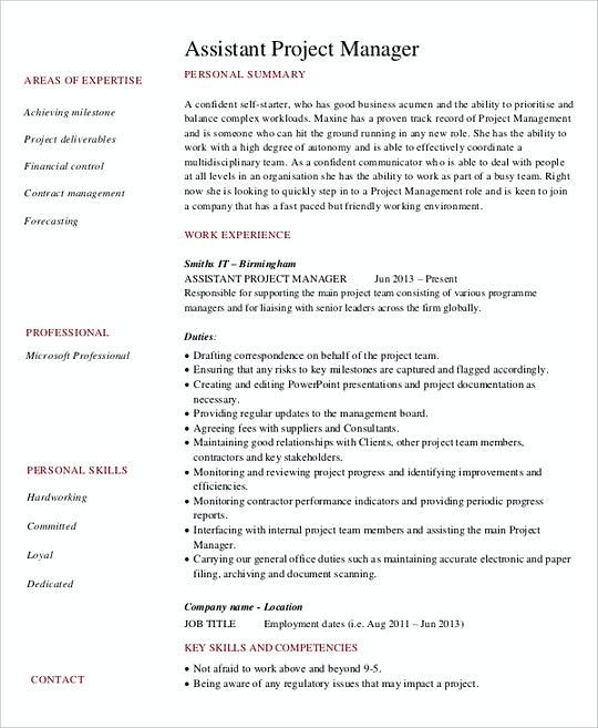 Assistant Project Manager resume template