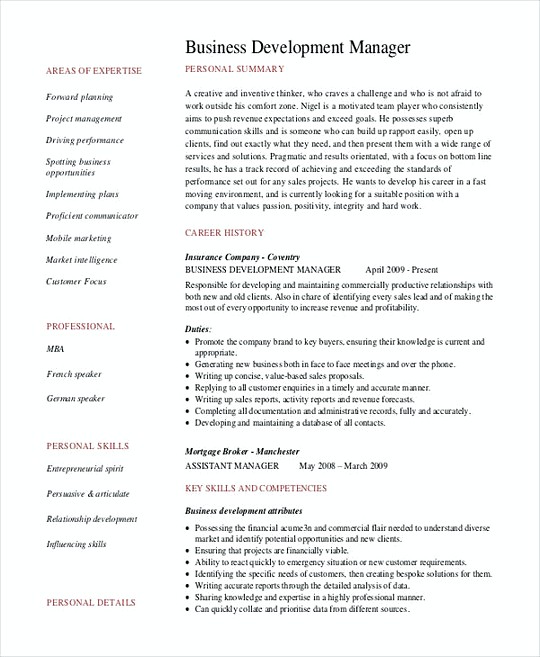 Business Development Manager resume template