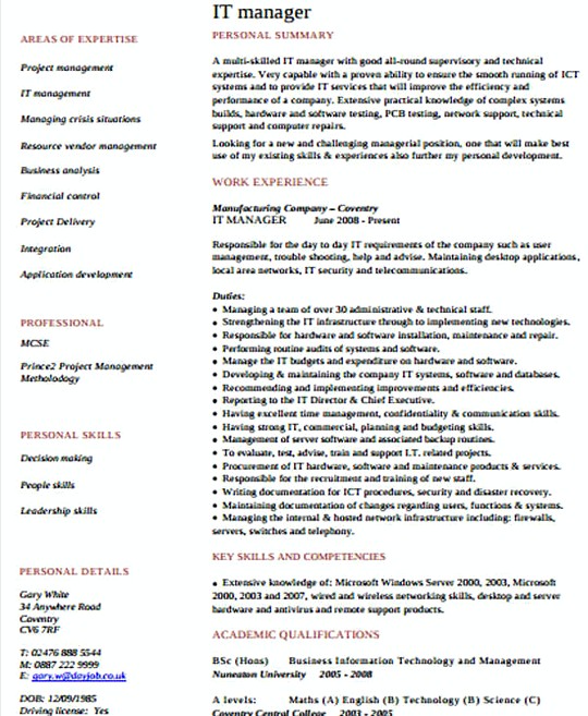 IT Program Manager resume template