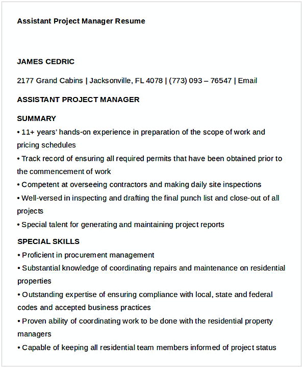 Assistant Project Manager Resume 1