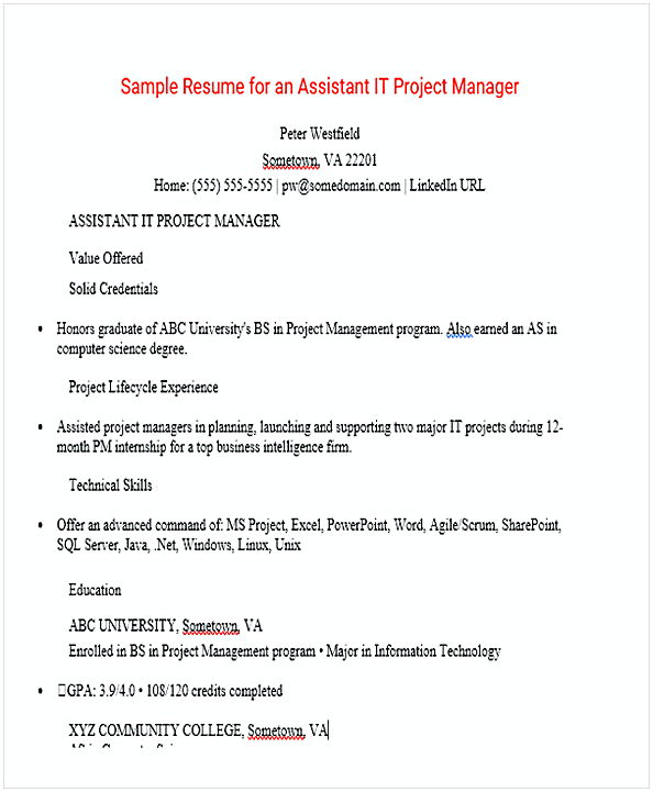Assistant Project Manager Resume