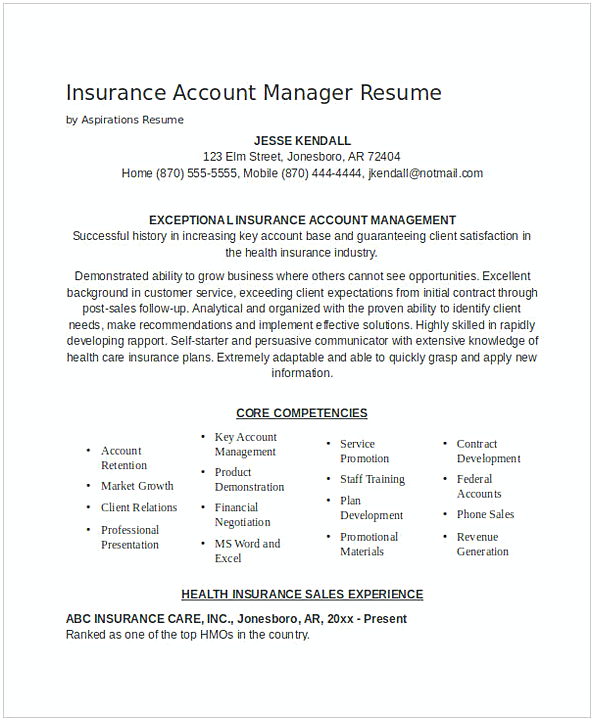 Insurance Account Manager Resume 1