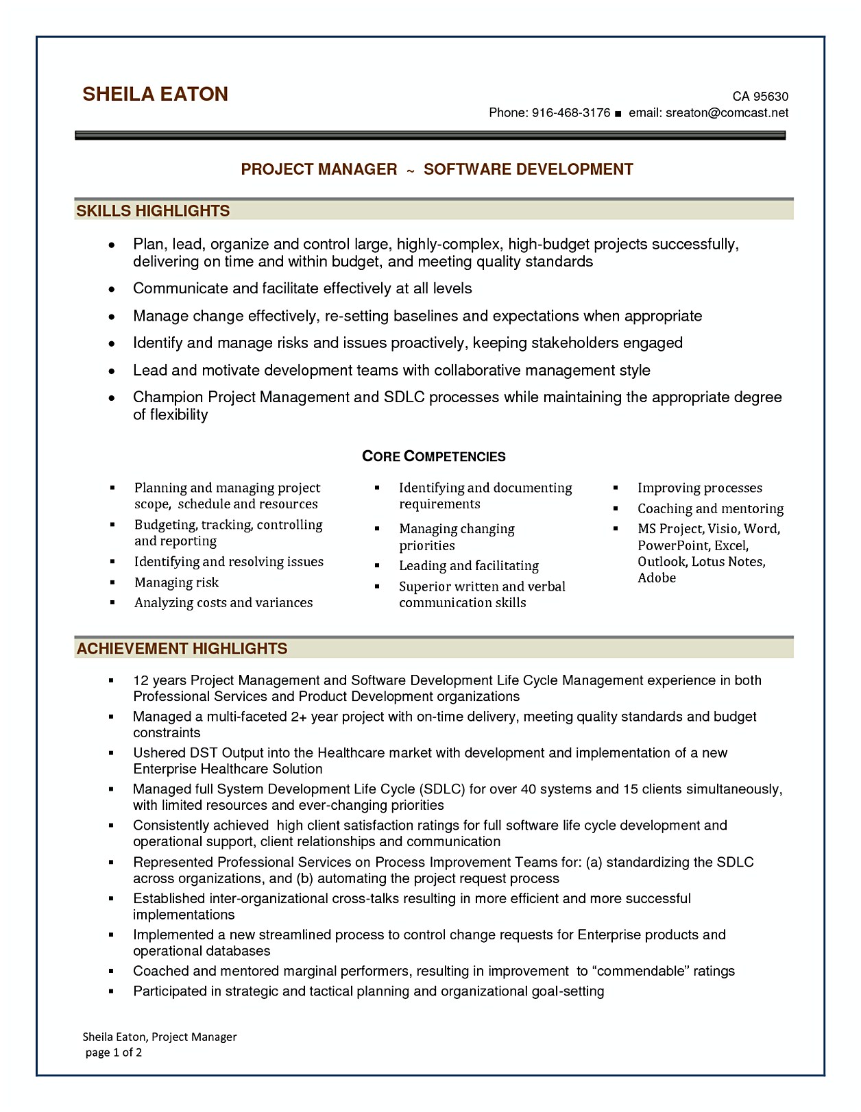 resume of project manager