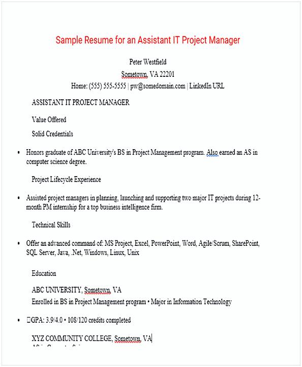 Assistant Project Manager Resume 1