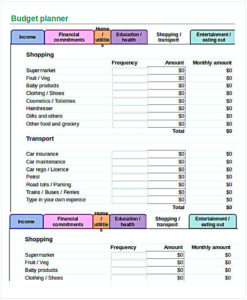 daily budget planner excel template