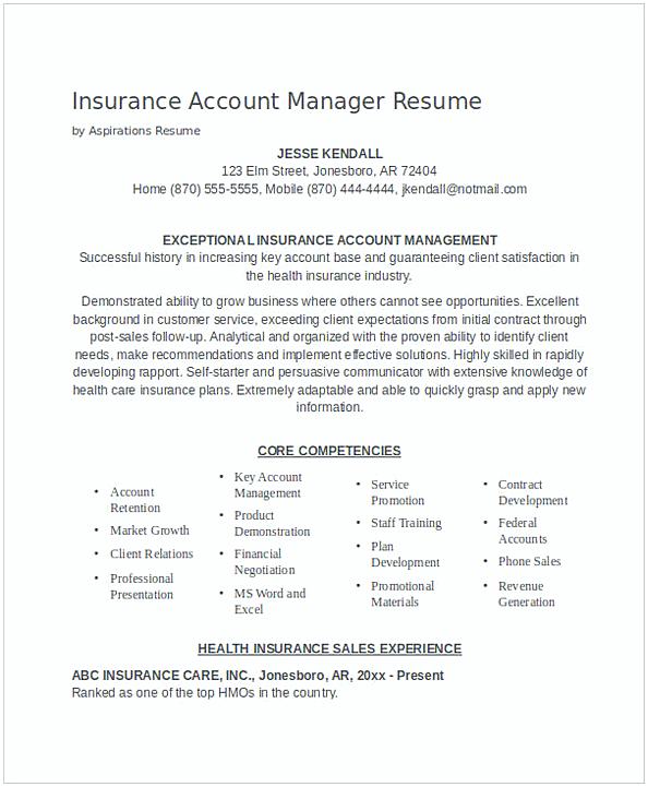 Insurance Account Manager Resume