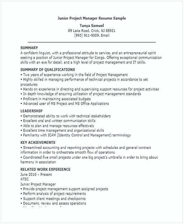 manager resume objective examples
