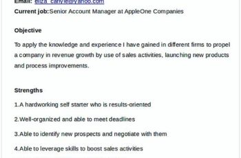 Sales Account Manager Resume