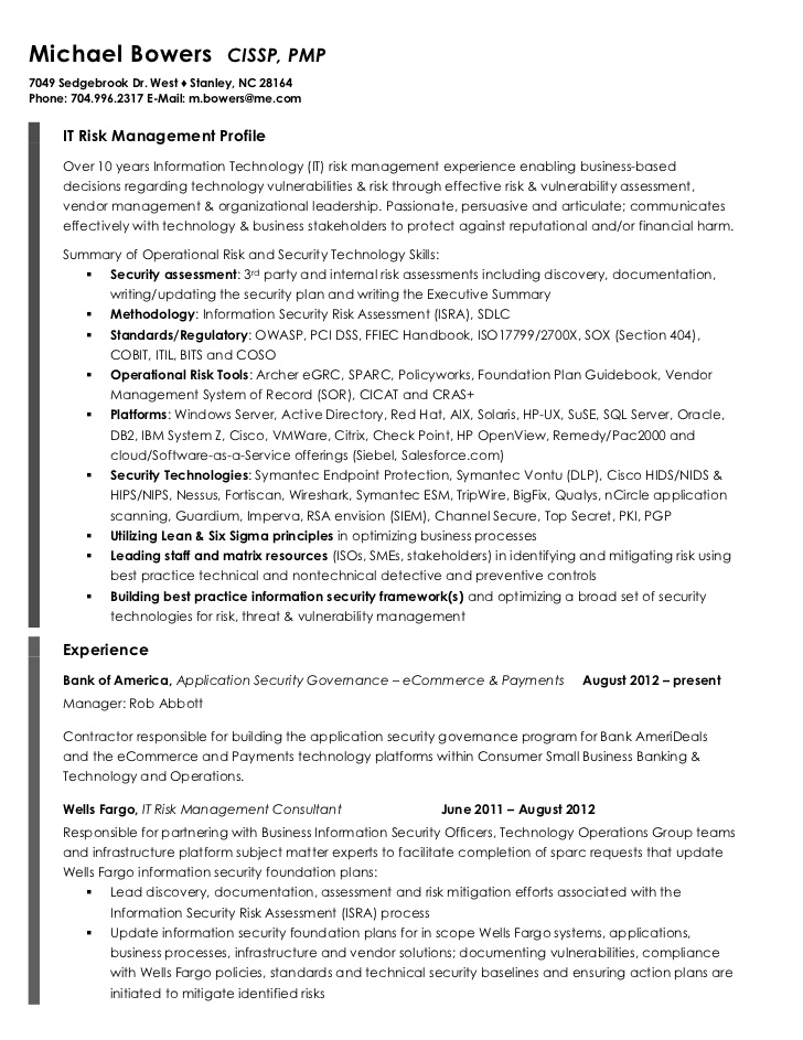 IT risk managnment resume example