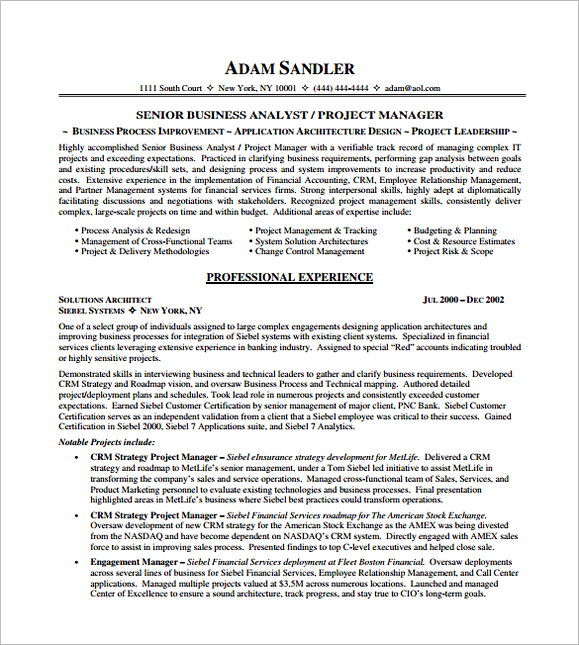 IT Project Manager Resume PDF Free Template