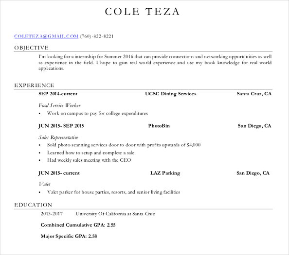 Sales Manager Template Resume Example