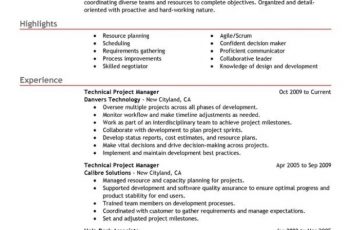 Technical Project Manager Resume