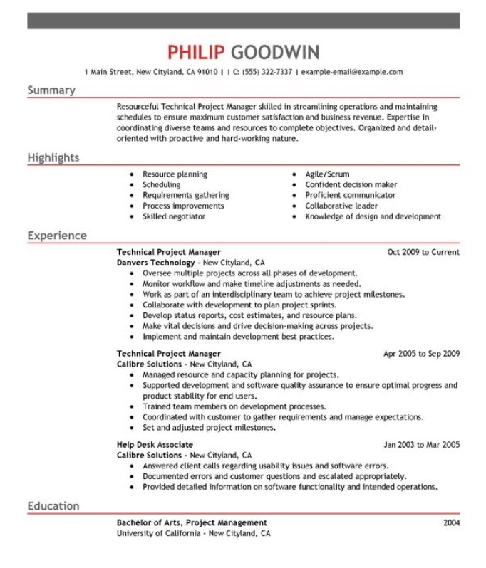 Technical Project Manager Resume