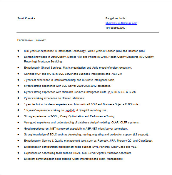 Business Intelligence Resume in MS Word