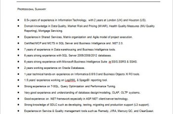 Business Intelligence Resume in MS Word 1 1