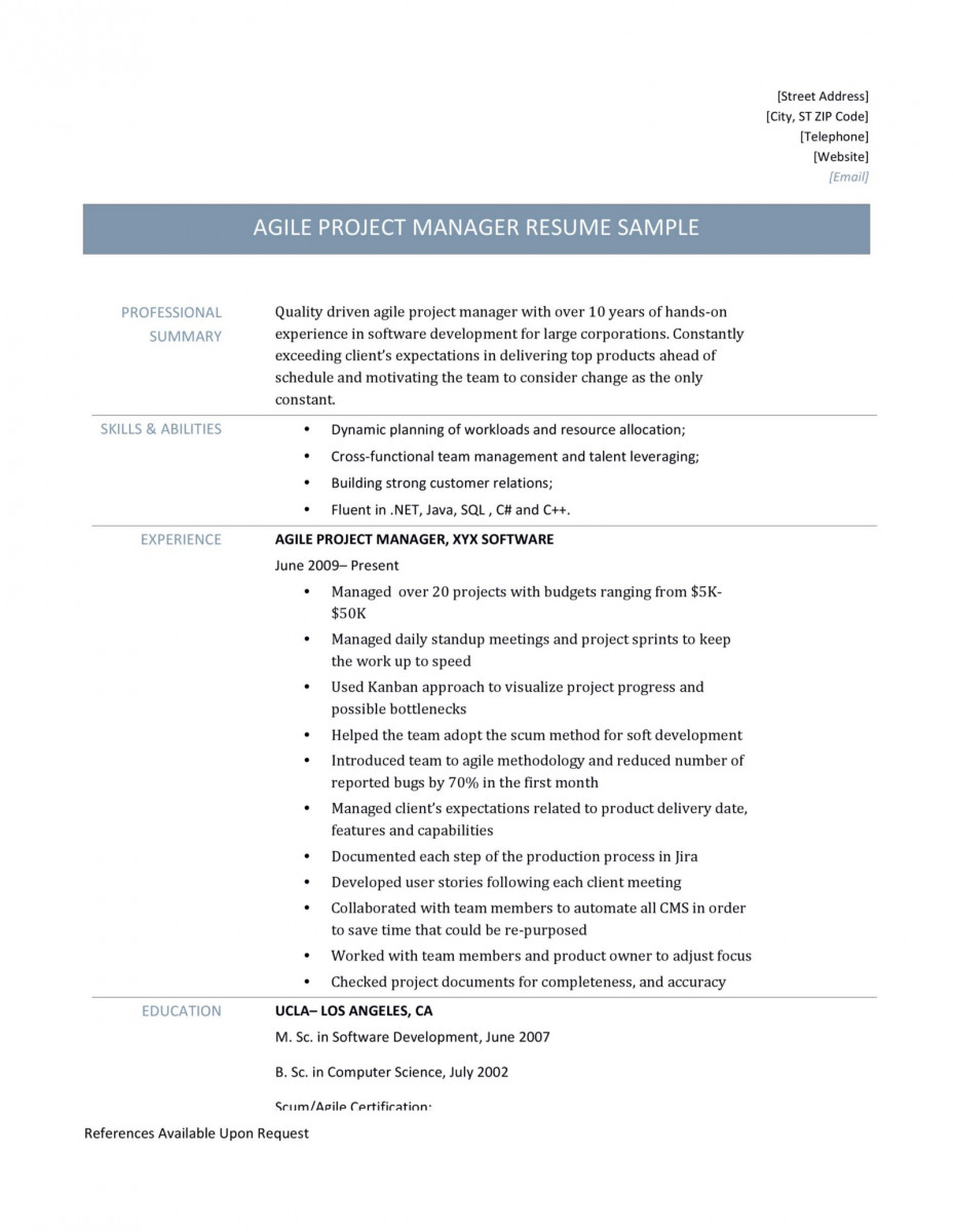 Agile Business Analyst Resume