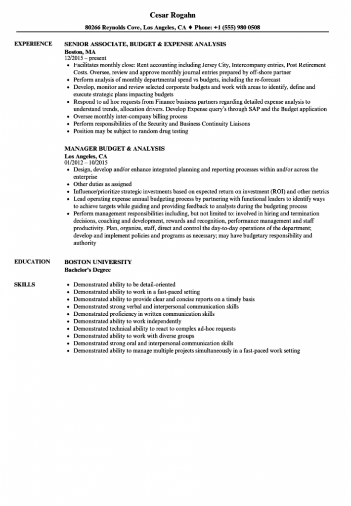 Budget Analyst Resume