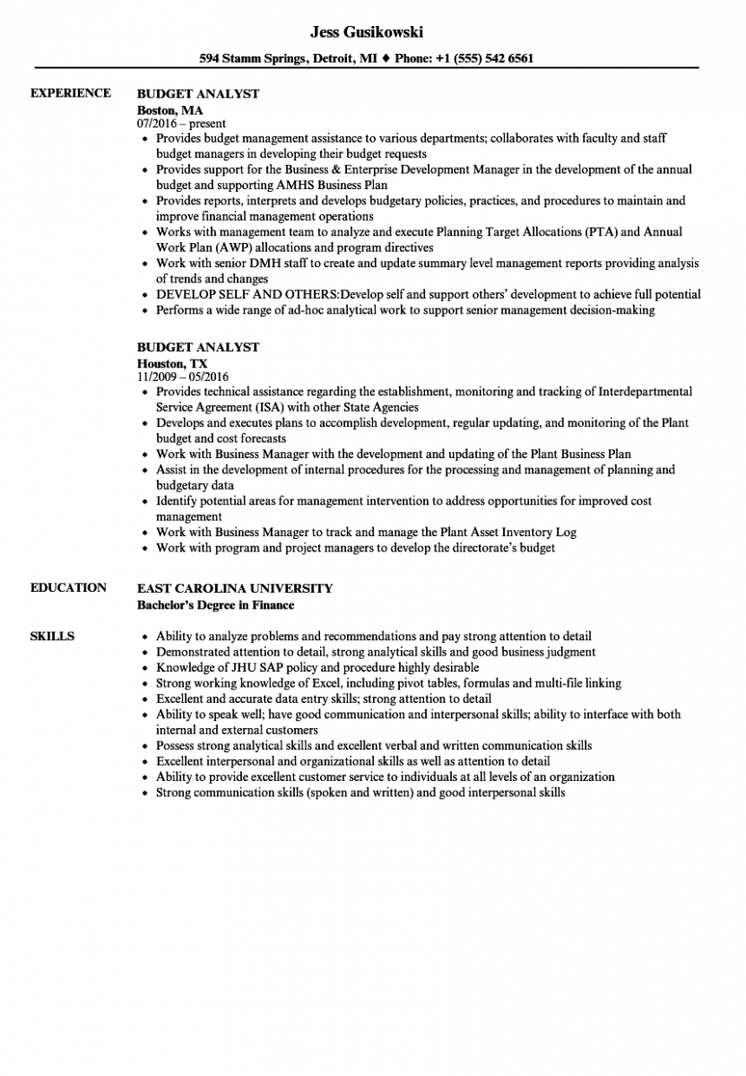 budget analyst resume sample