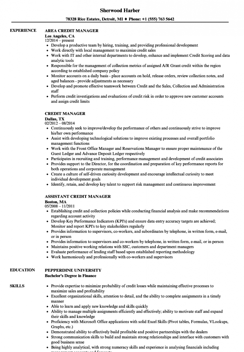 credit manager resume sample