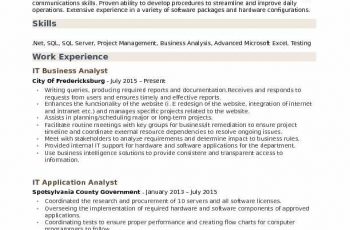 it business analyst