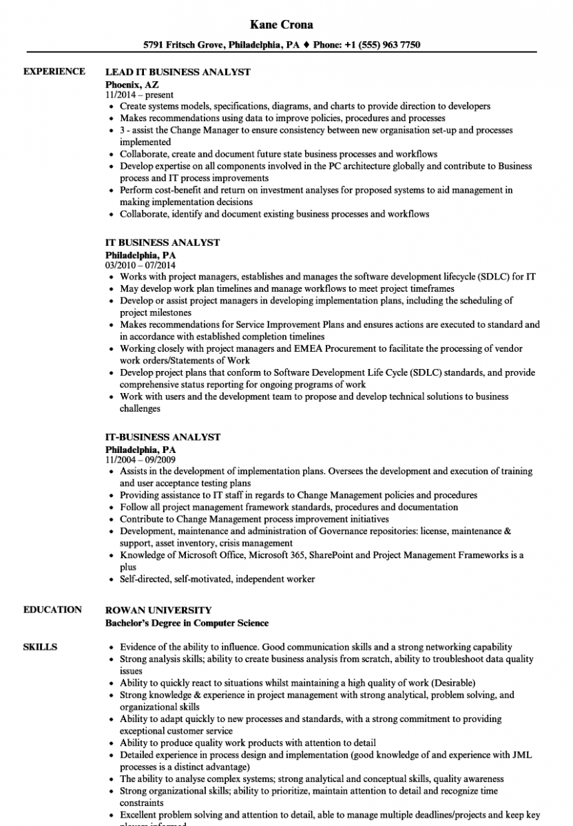 it business analyst resume sample