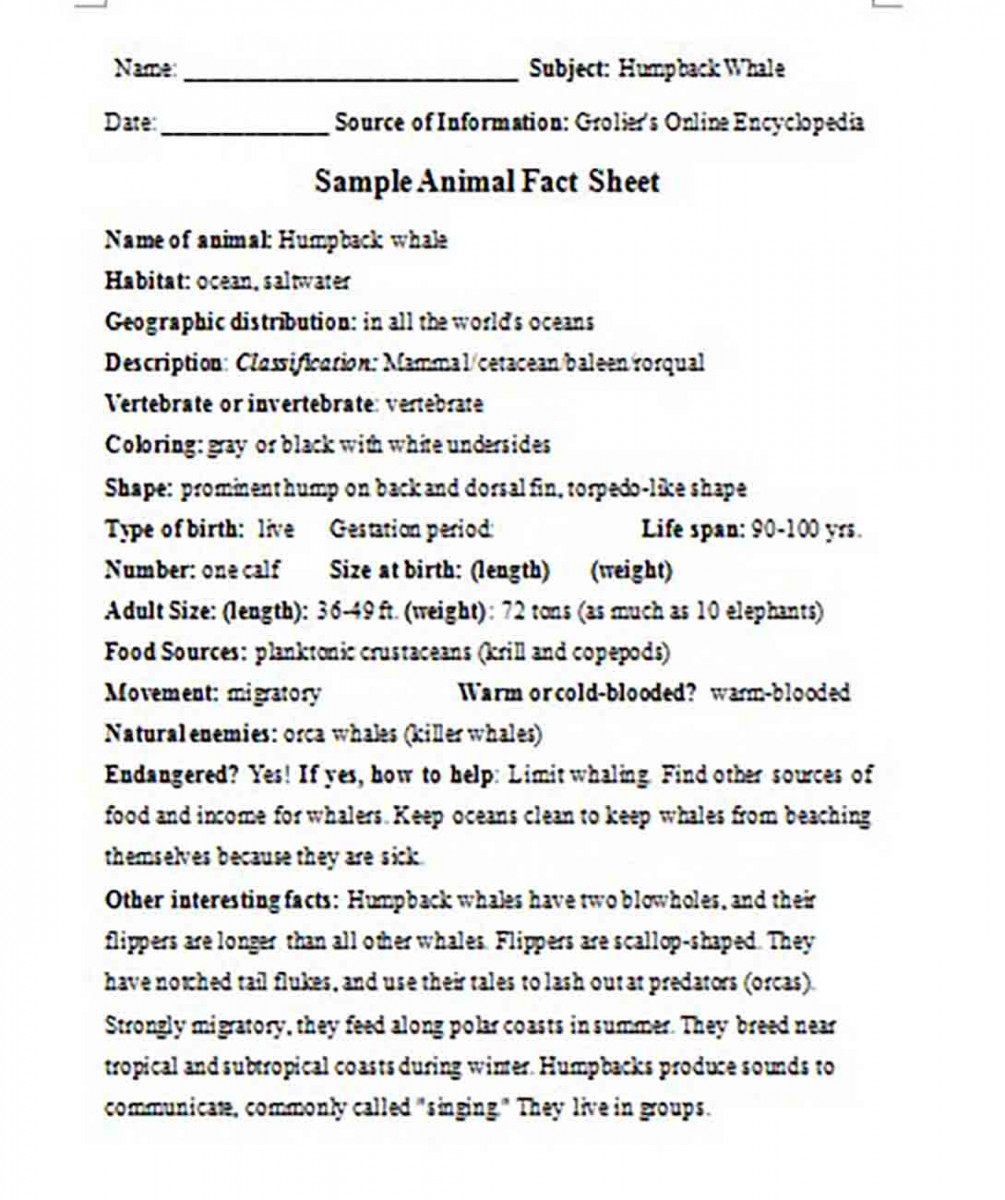 Animal Fact Sheet templates
