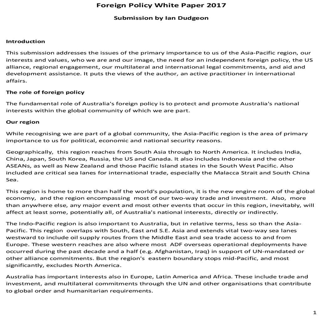 Foreign Policy White Paper 1