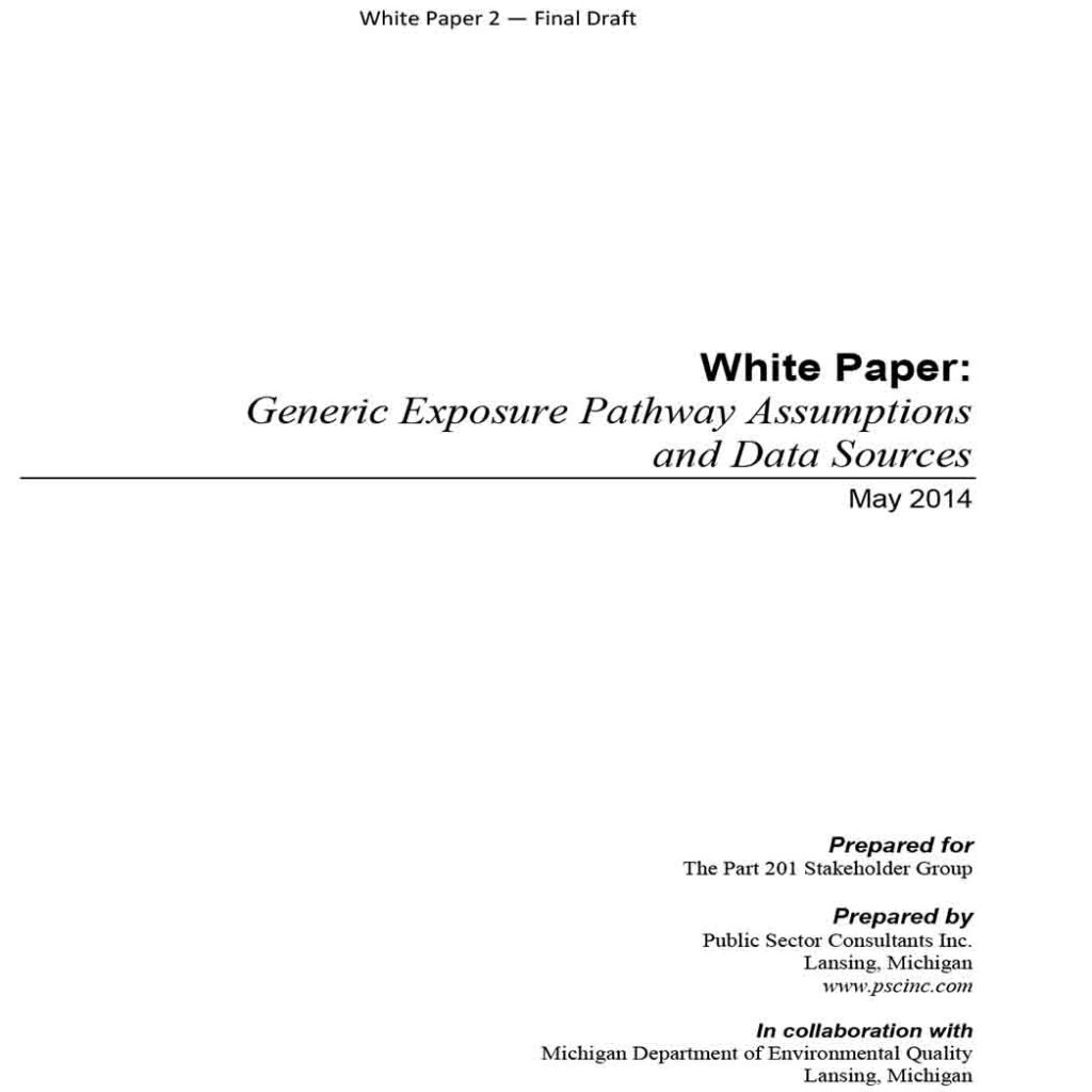 White Paper Template And Detail Information About The Document