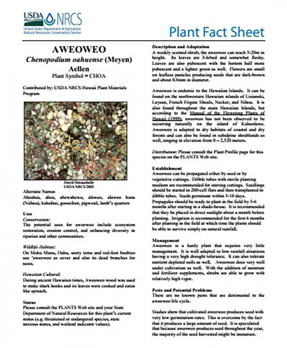 Plant Fact Sheet templates Printable