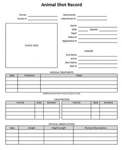 5+ Printable Puppy Shot Record