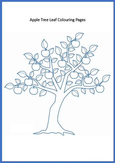 Apple Tree Leaf Colouring Pages