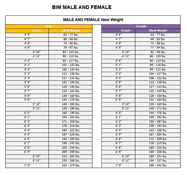 Bim Male And Female