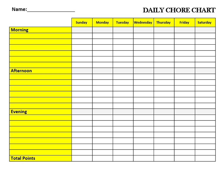 Daily Chore Chart