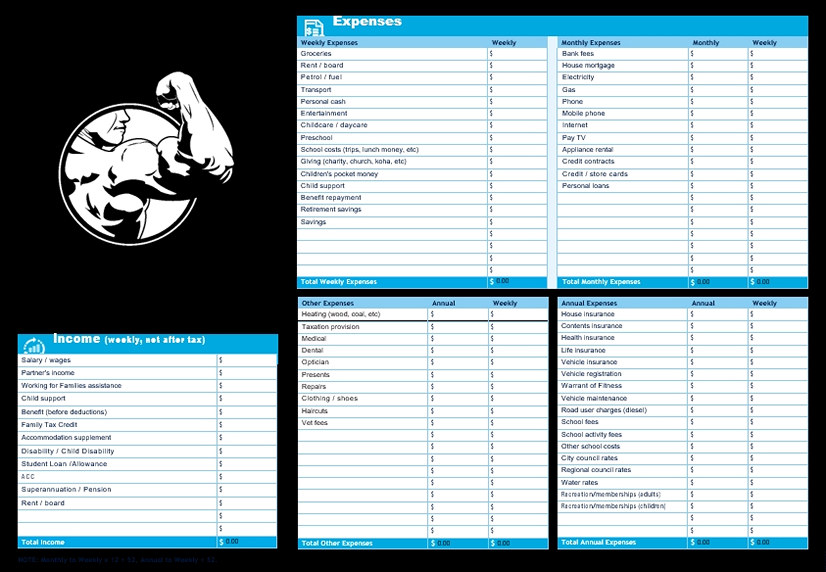 Financial Fitness Check Budget Template