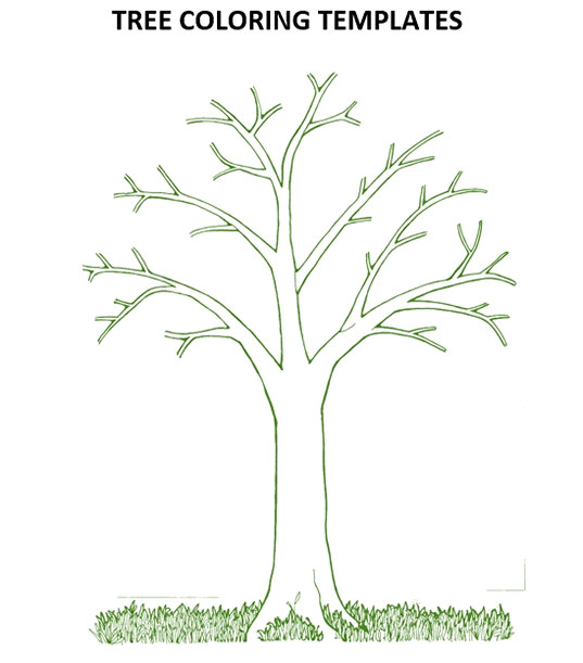 Tree Coloring Templates