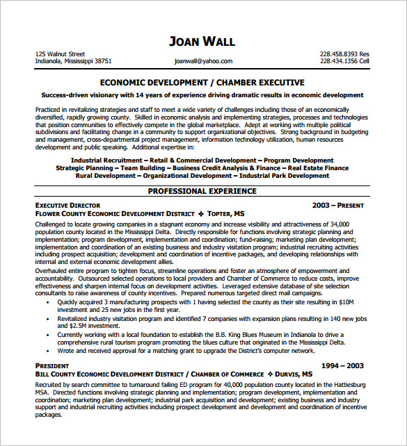 Executive Resume Template And What You Should Include