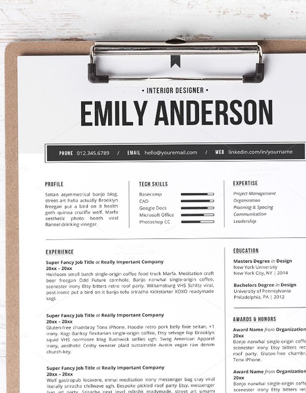 Professional Resume Template