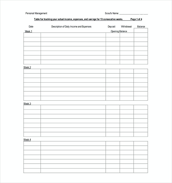 Blank Budget Tracking Template File