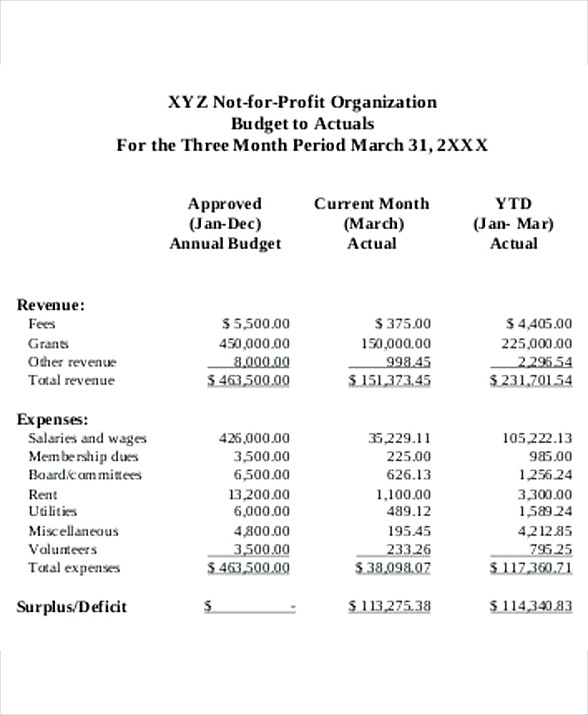 NonProfit Organization Budget Template