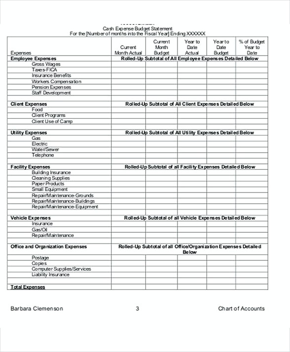 Nonprofit Development Budget Template