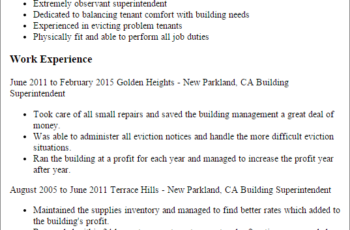 Professional building manager resume
