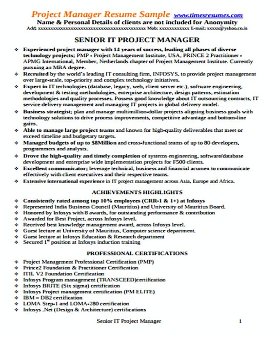 Senior IT Project Manager resume template